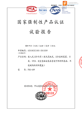 工程燈安全形式檢驗(yàn)報(bào)告